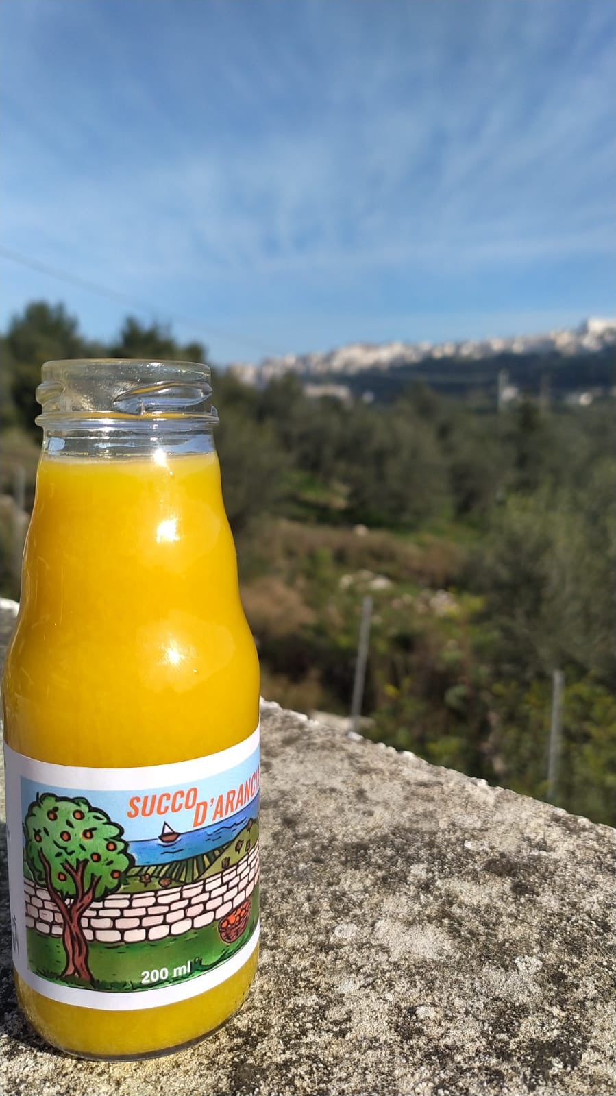 Succo d'arancia del Gargano in vetro 200 ML