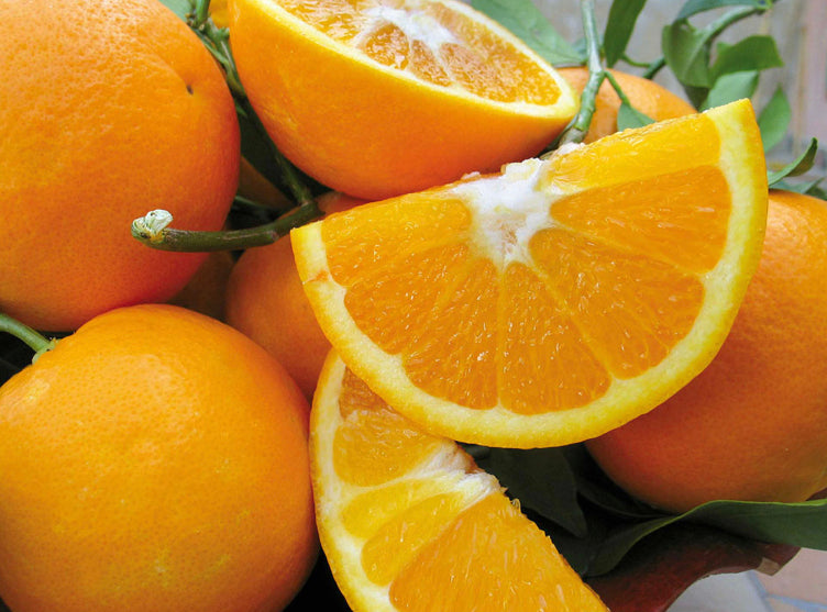 1 Kg Arancia Duretta del Gargano IGP